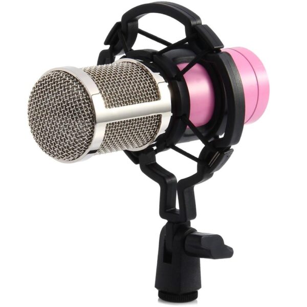 BM-800 Condenser Sound Recording Microphone with Shock Mount for Radio Braodcasting - Image 24